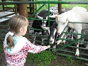 Kids_Hoofarm_2012 (63) 